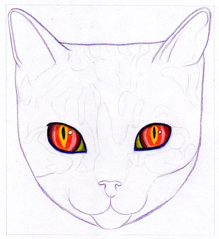 450x492 How To Draw A Cat Learn How To Create A Unique Colorful Cat - Cat Ears Sketch