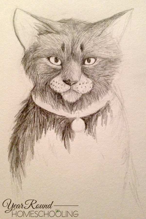 600x902 How To Draw A Cat With Graphite Pencils - Cat Ears Sketch