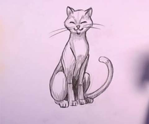 480x402 How To Draw A Cat In Pencil - Cat Easy Sketch