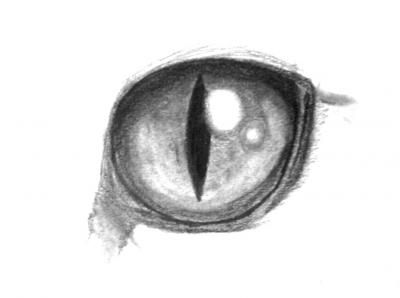 400x298 Cat Eye Drawing Eyes Drawings, Cat Eyes Drawing - Cat Eye Sketch