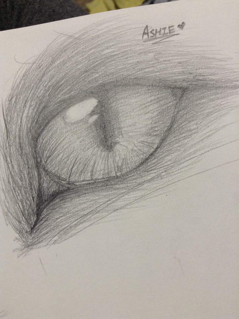 Cat Eye Sketch at PaintingValley.com | Explore collection of Cat Eye Sketch