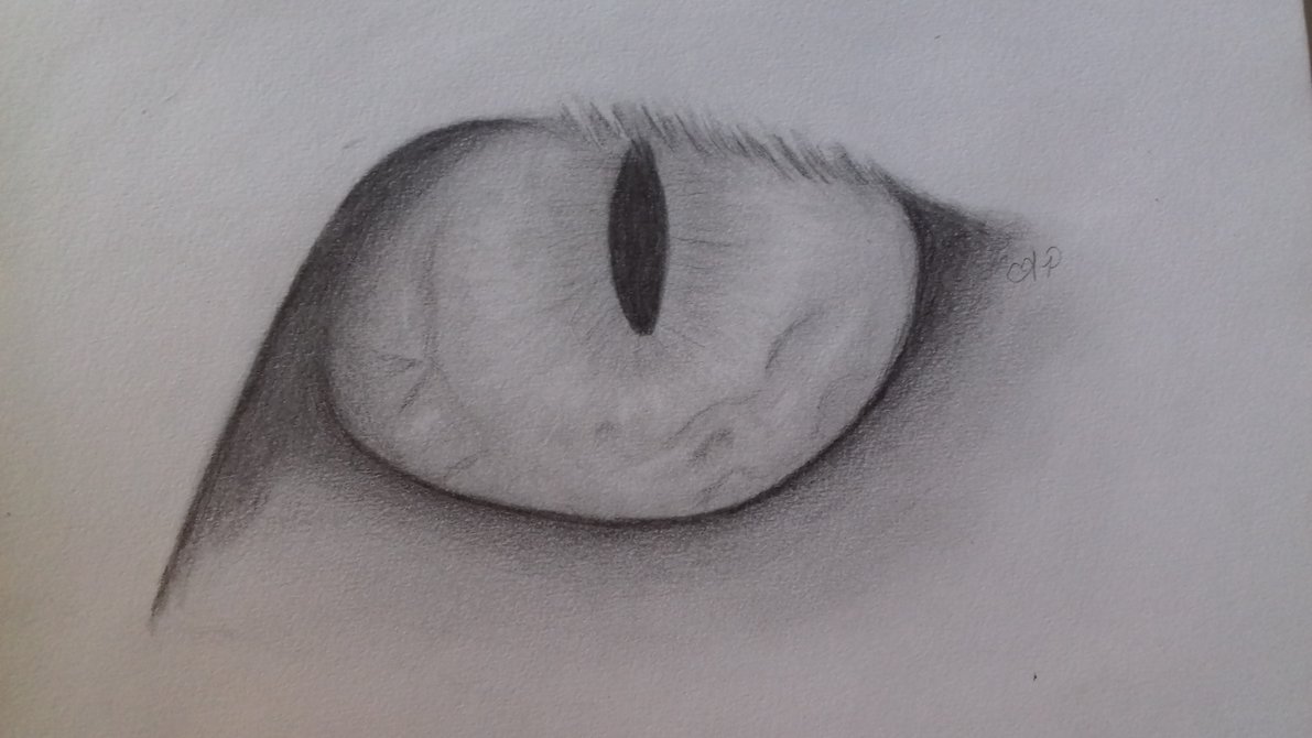 1191x670 Cat Eye Sketch By Killermuffin1997 - Cat Eye Sketch
