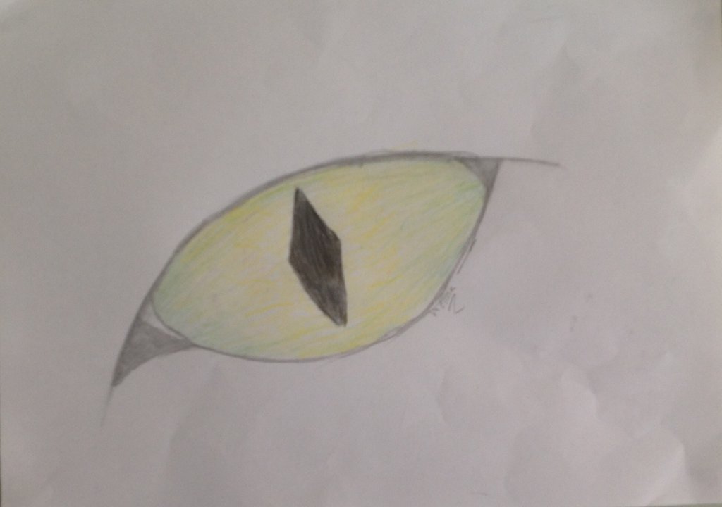 1024x720 Cat Eye Sketch With Color By Ninareena - Cat Eye Sketch