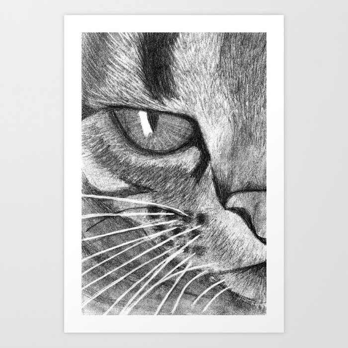 700x700 Cat Face Sketch Art Print By Andreaburrows Society6 - Cat Face Sketch