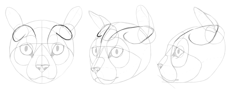 1000x390 How To Draw Cats Step By Step With Monika Zagrobelna - Cat Face Sketch