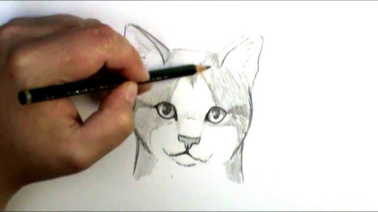 1280x720 How To Draw A Cat Face - Cat Face Sketch