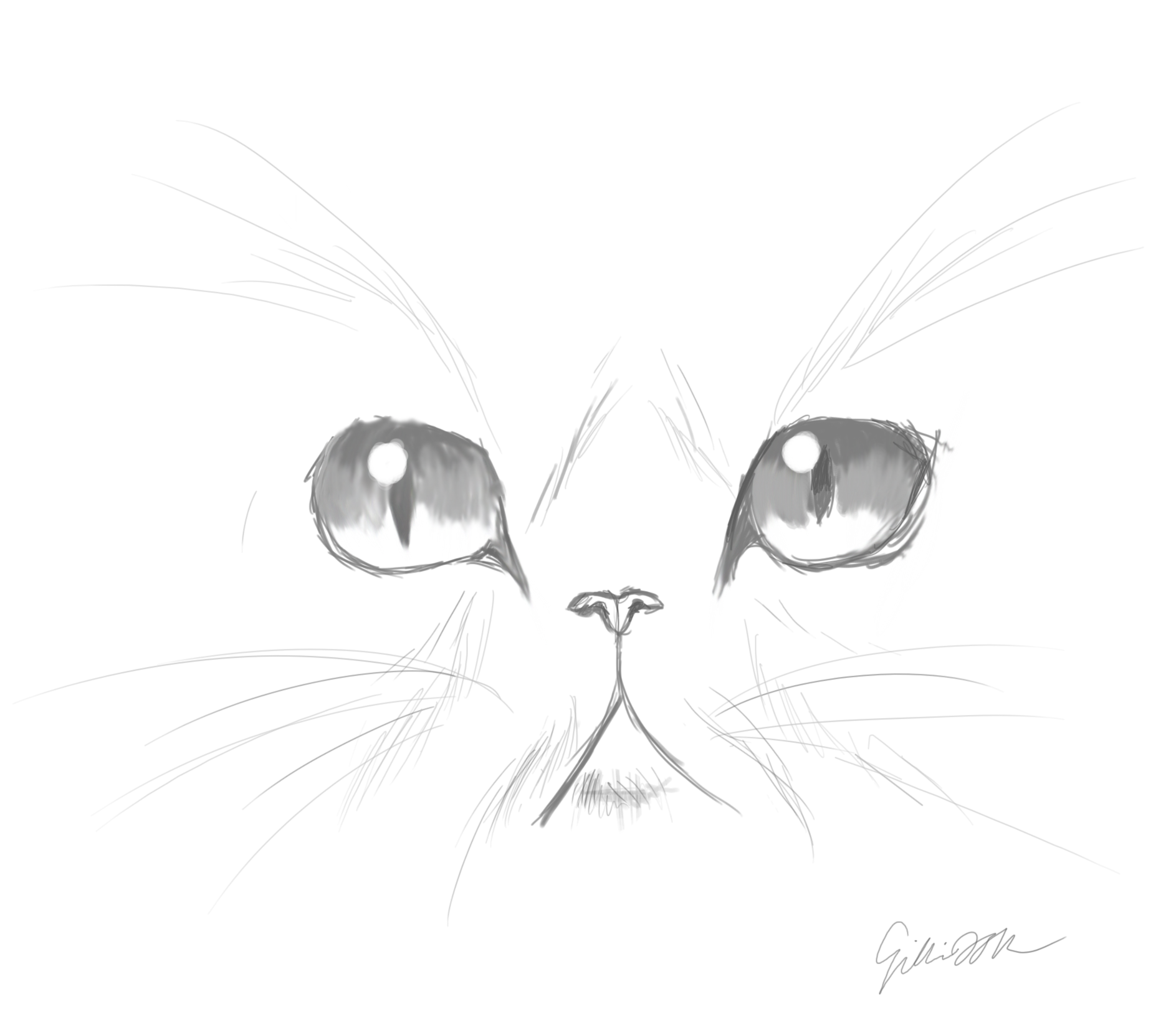 1887x1635 Images For Gt Cute Cat Face Sketches Art - Cat Face Sketch