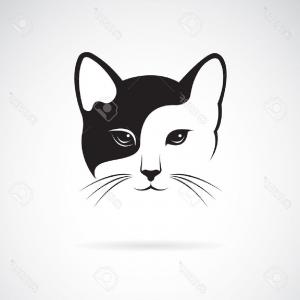 300x300 Stock Illustration Cat Face Sketch Vector Breed Bengal Spotted - Cat Face Sketch
