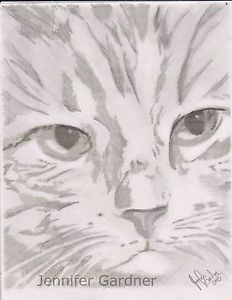 232x300 Cat Face Sketch 11x8 Inches Original Art Pencil Signed Jennifer - Cat Face Sketch