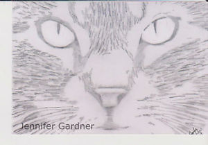 300x209 Cat Face Sketch 4x6 Inches Print Signed Amp Dated Jennifer Gardner - Cat Face Sketch