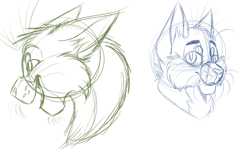 1024x666 Cat Face Sketches By Warriorsandapples - Cat Face Sketch