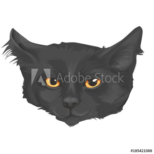 500x500 Cat Head, Sketch Vector Graphic, Cartoon Style, Isolated - Cat Head Sketch