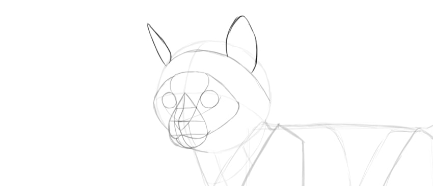 850x366 Drawn Kitten Cat Head - Cat Head Sketch