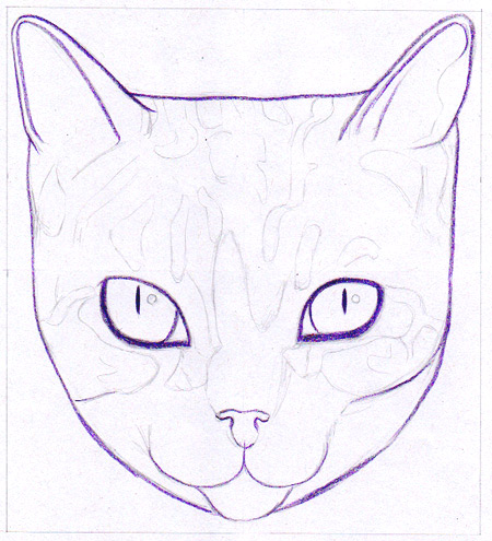450x495 How To Draw A Cat Learn How To Create A Unique Colorful Cat - Cat Head Sketch