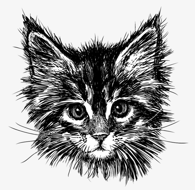 650x636 Painted Black Cat Head Vector Material, Black And White, Hand - Cat Head Sketch