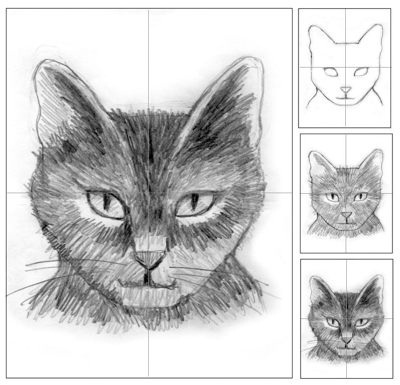 804x775 Photos Sketch With Pencil Cat Head, - Cat Head Sketch