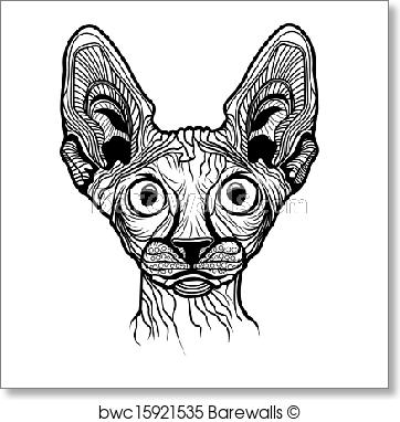 362x382 Art Print Of Vector Illustration Of Cat Head Barewalls Posters - Cat Head Sketch