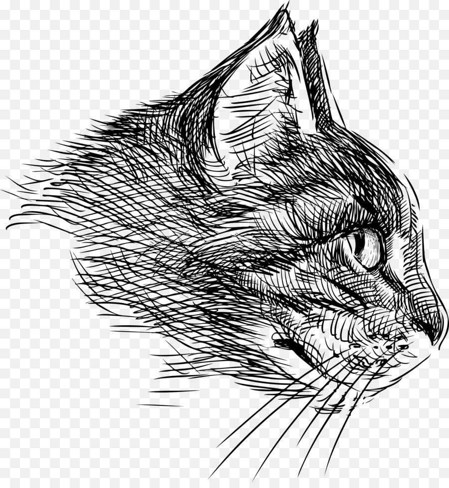 Cat Head Sketch at PaintingValley.com | Explore collection of Cat Head ...