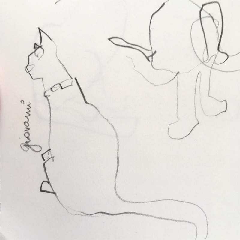 800x800 Cat Sketching Sketch Away Travels With My Sketchbook - Cat Images Sketch