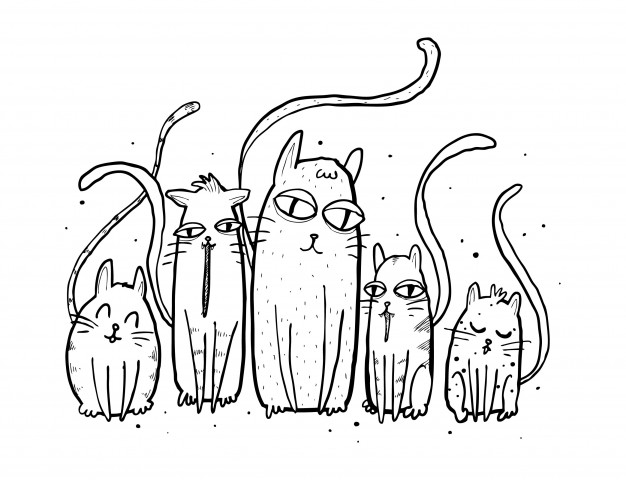 626x480 Cute Cat Sketch Vector Premium Download - Cat Images Sketch