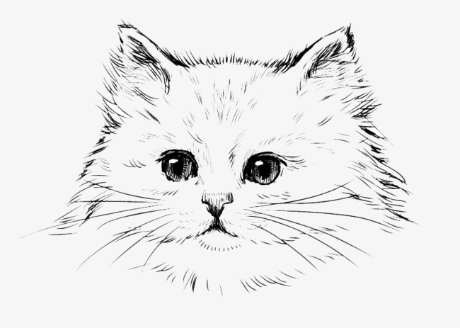 650x463 Free Cat Sketch Pull Material, Cat Clipart, Kitty, Cute Cat Png - Cat Images Sketch