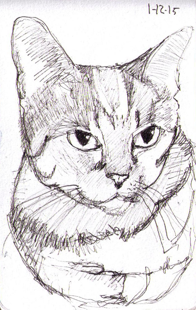 633x1000 Pen Sketch Of Lexi The Cat One Drawing Daily - Cat Images Sketch