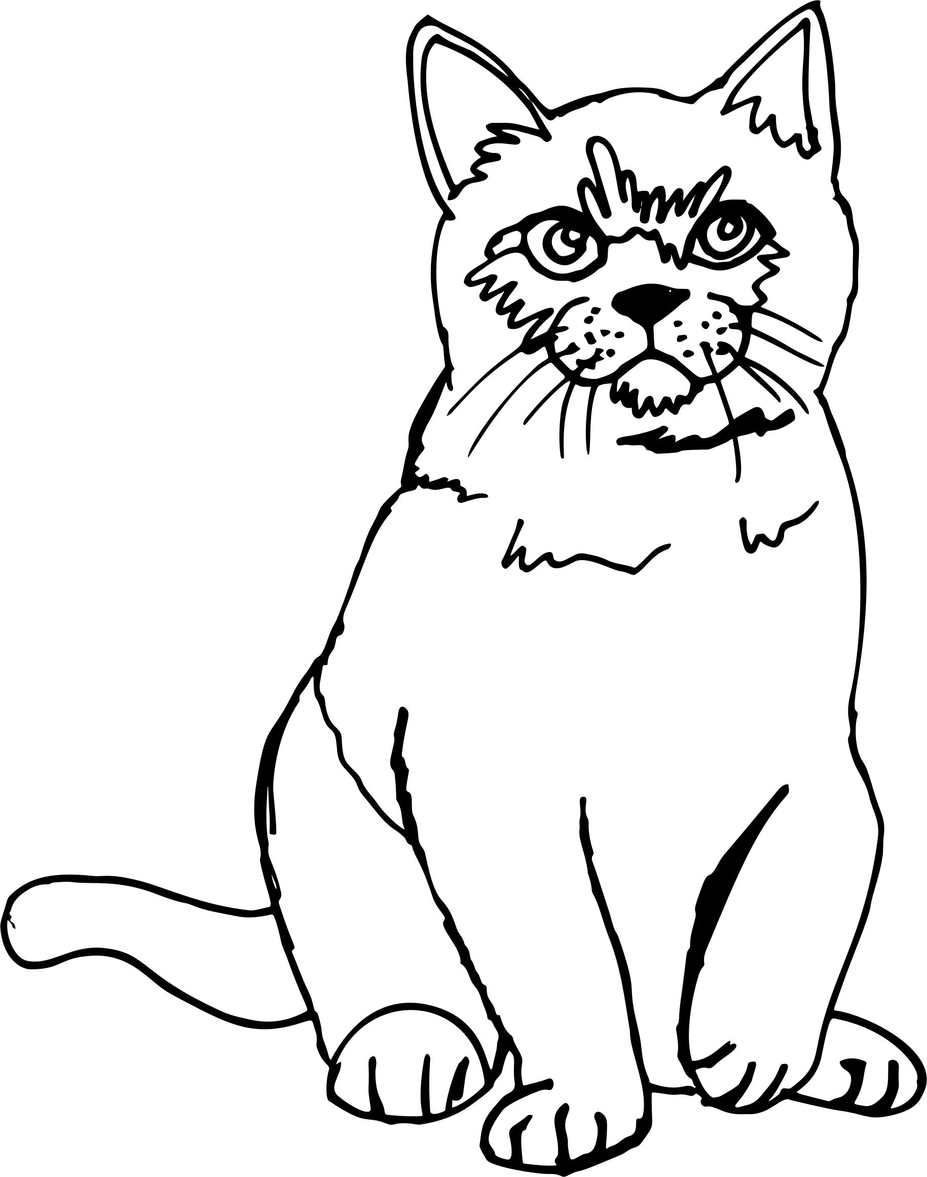 Cat Line Sketch at Explore collection of Cat Line