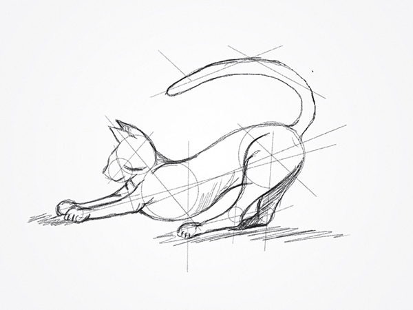 600x450 Cats - Cat Line Sketch