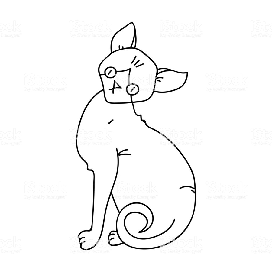 900x900 Download Illustration Clipart Sphynx Cat Whiskers Clip Art - Cat Line Sketch