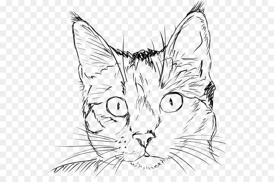 900x600 Draw Cats Drawing Kitten Sketch - Cat Line Sketch