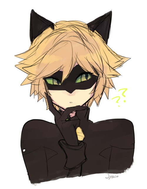500x642 I Love His Darn Face - Cat Noir Sketch