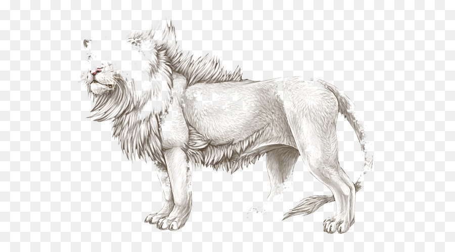 900x500 Dog Lion Cat Paw Sketch - Cat Paw Sketch