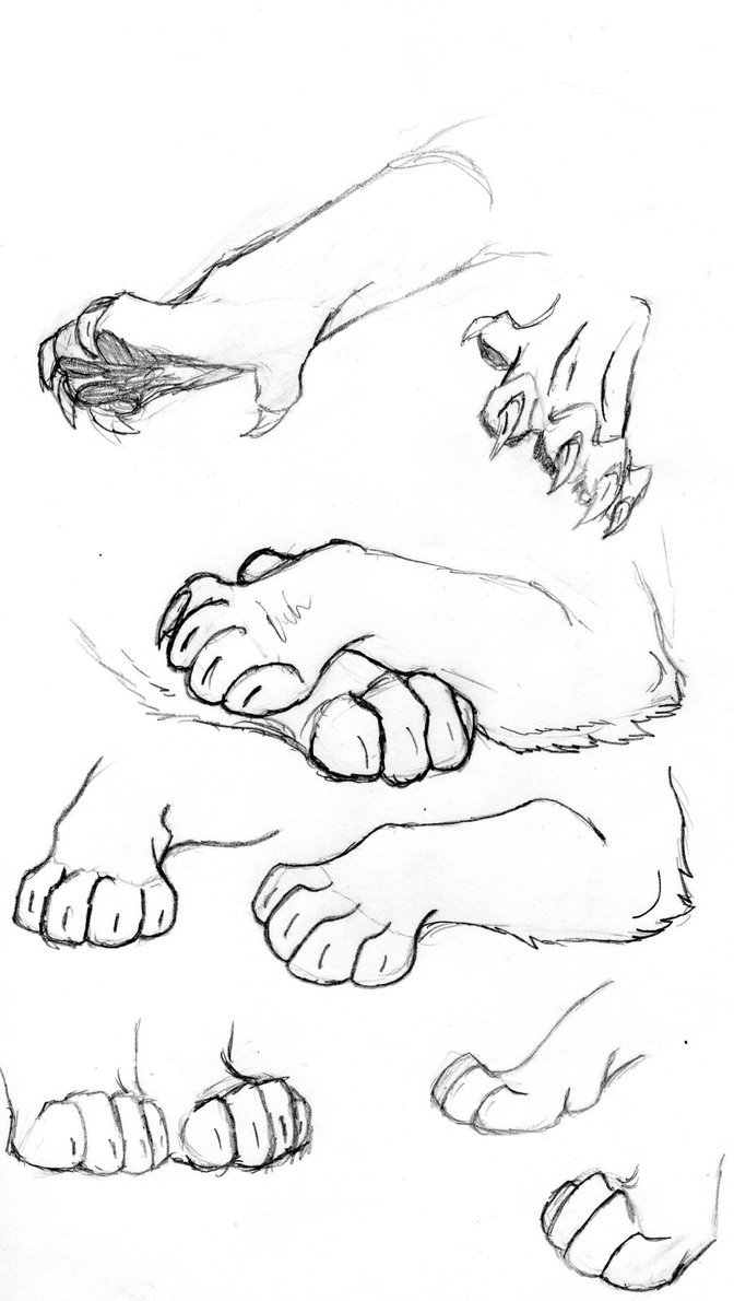 672x1190 Paws Drawing, Pencil, Sketch, Colorful, Realistic Art Images - Cat Paw Sketch