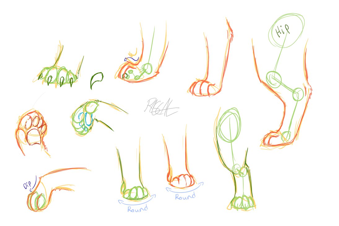 1095x730 Cat Help (Paws) By Rascal4488 - Cat Paw Sketch
