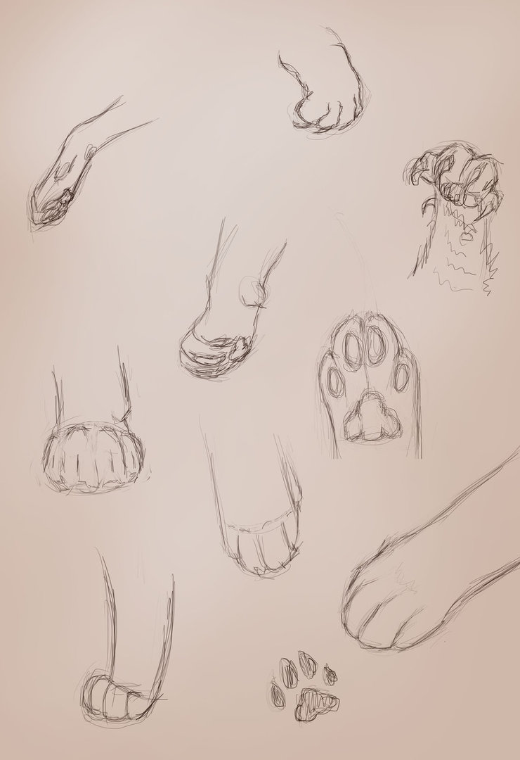 740x1080 Cat Paw Sketches By Clambiluna - Cat Paw Sketch