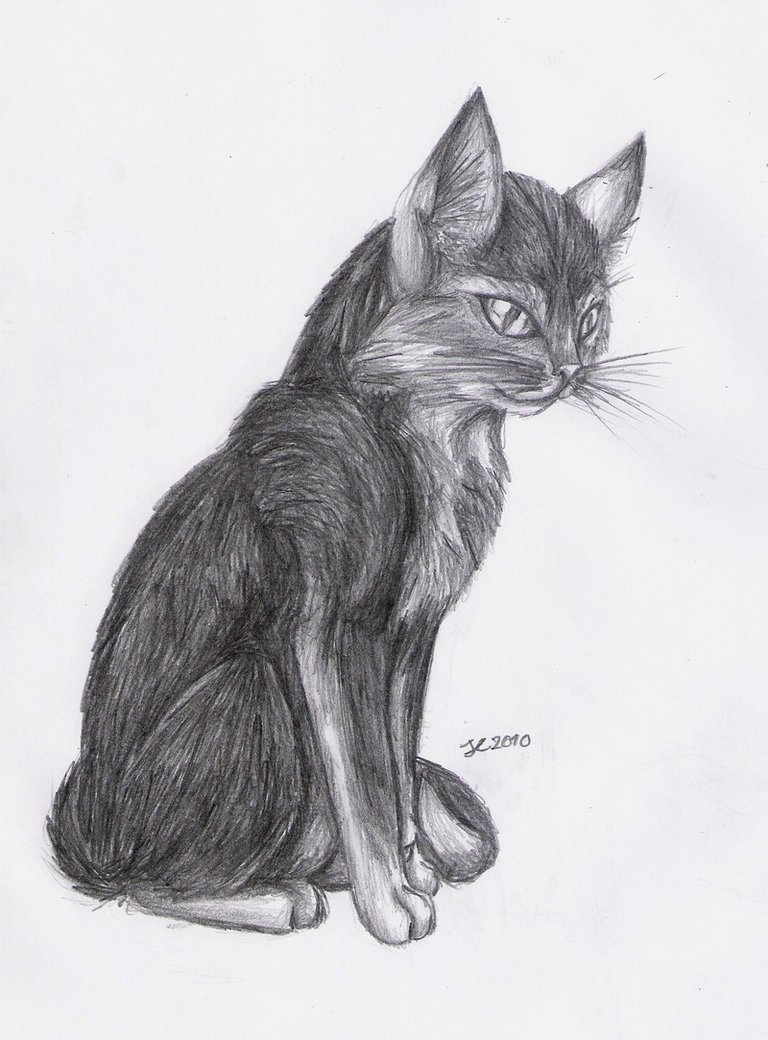 768x1040 Cat Pencil Sketch By Fly Sky High - Cat Pencil Sketch