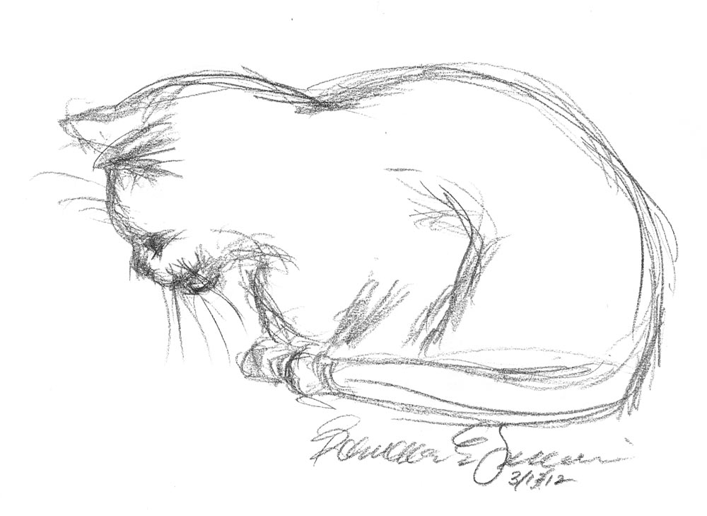 1000x729 Daily Sketch Kelly Napping ~ The Creative Cat - Cat Pencil Sketch