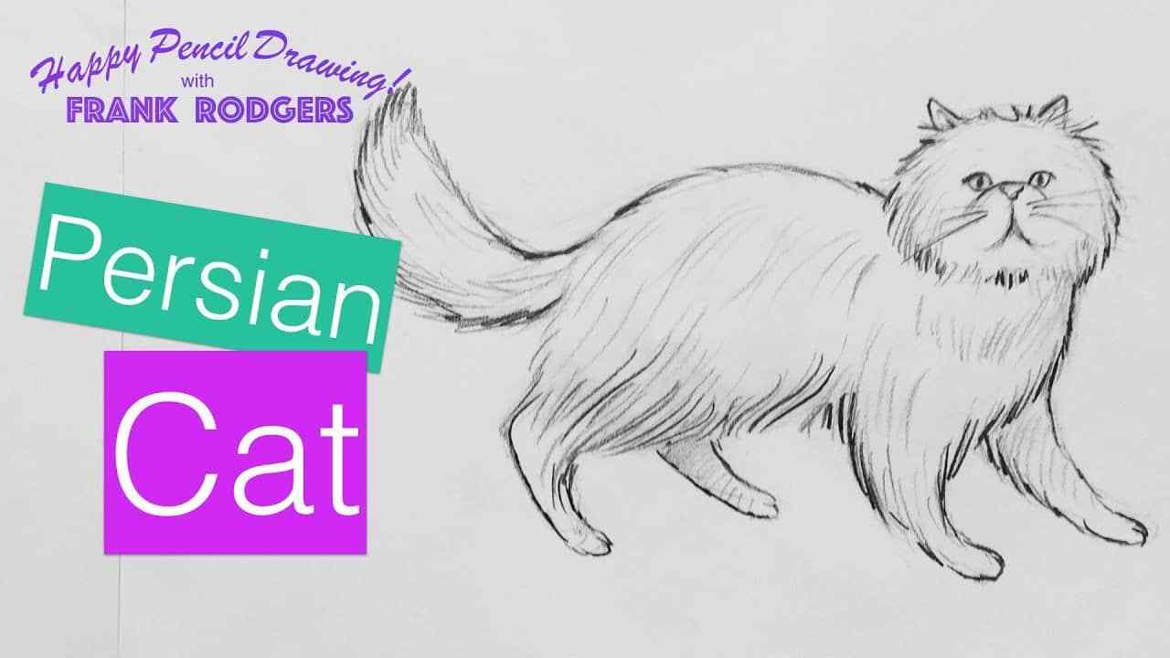 1280x720 How To Draw A Pencil Sketch Of A Persian Cat. Illustration Live - Cat Pencil Sketch
