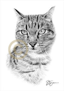 212x300 Cat Pencil Drawing Art Print A3 A4 Sizes Signed By Uk Artist G - Cat Pencil Sketch
