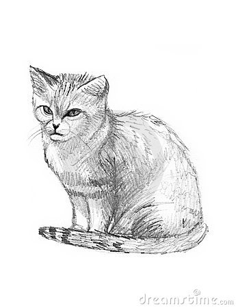 345x450 Sand Cat Drawing Sketch 19932725 By Spiritcatwarrior - Cat Pictures Sketch