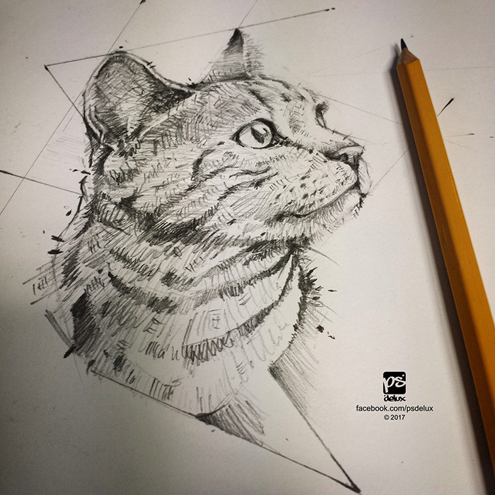 700x700 Psdelux - Cat Sketch