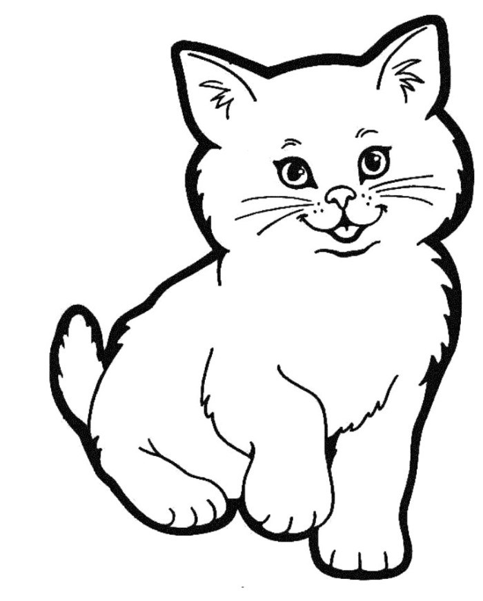 700x871 How To Draw A Cute Realistic Cat Cartoon Face Step By Step For - Cat Sketch Drawing