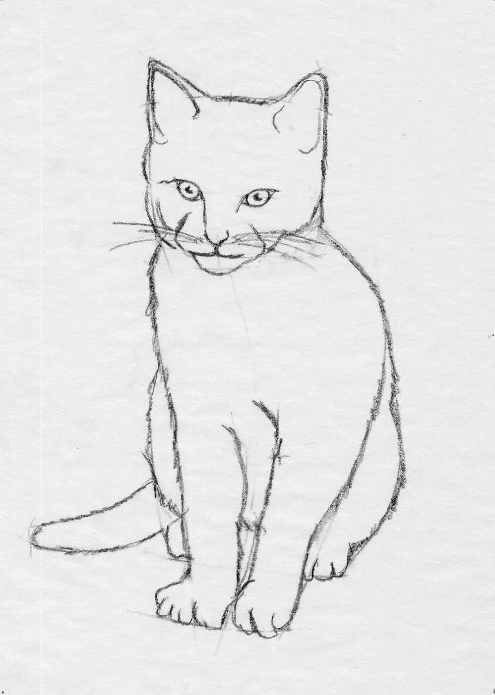 cat easy drawing
