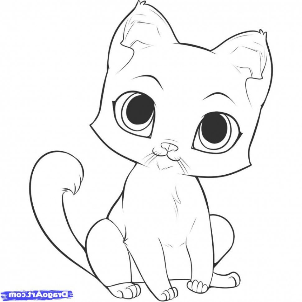 970x970 Kittens Cat Sketch - Cat Sketch Easy