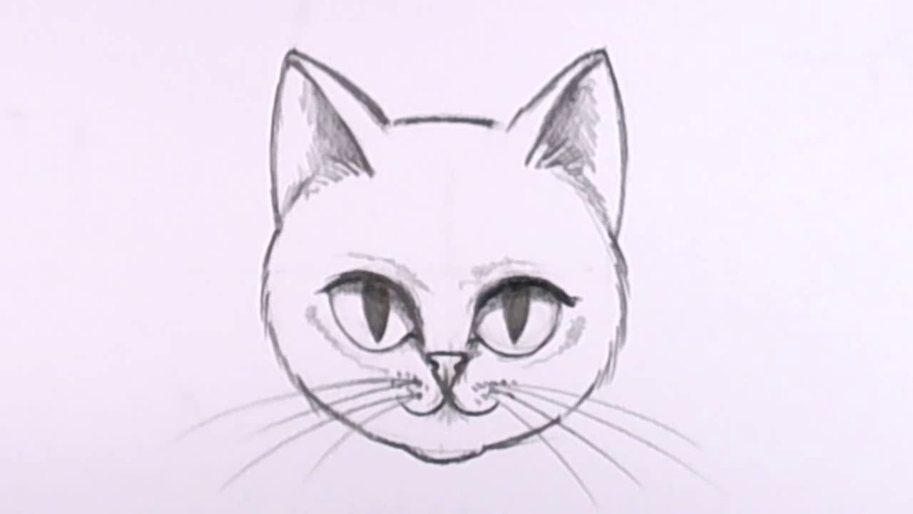 Cat Sketch Easy At Paintingvalley Com Explore Collection Of Cat