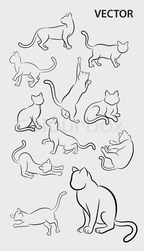 461x800 Cat Pet Animal Activity Sketch. Good Use For Symbol, Logo, Web - Cat Sketch Easy