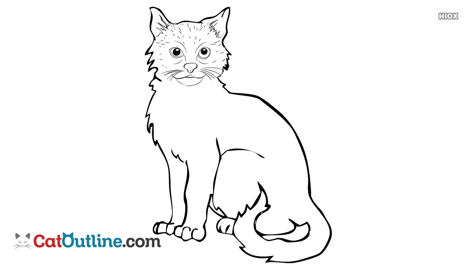 934x534 Cat Outline Sketch @ - Cat Sketch Outline