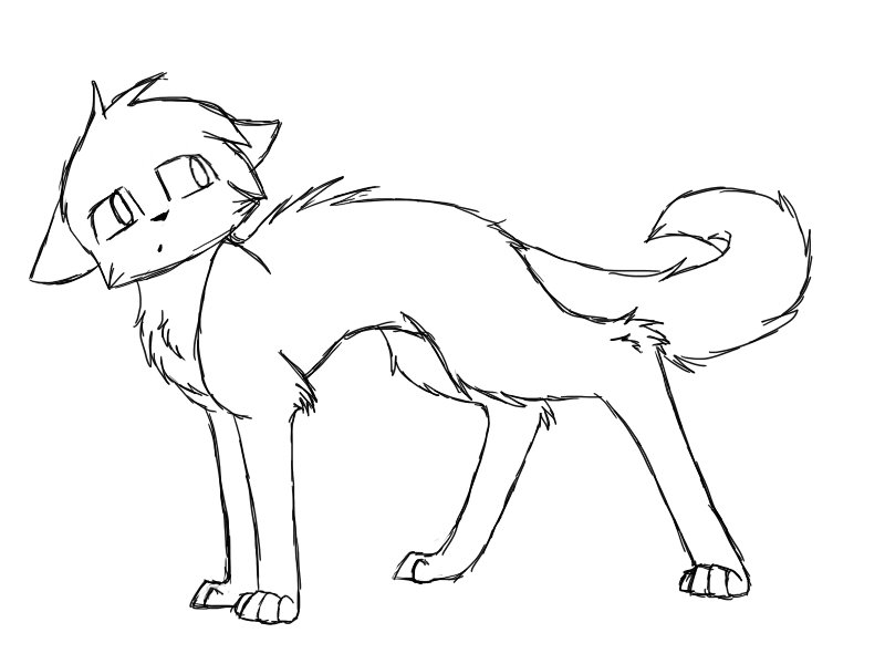 800x600 Image - Cat Sketch Outline