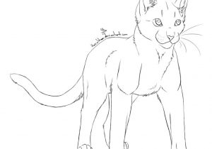 300x210 Anime Cat Drawing Outline How To Draw Pusheen The Cat 9 Steps - Cat Sketch Outline