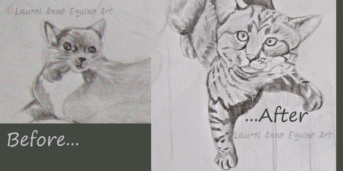 1112x554 Cat Sketch Boot Camp How To Get Better At Drawing And Draw - Cat Sketch Pictures